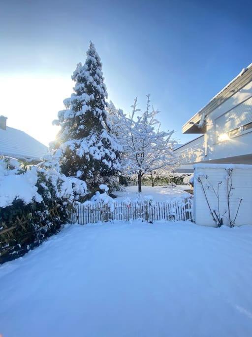 Cozy Home In South-Germany Klettgau المظهر الخارجي الصورة