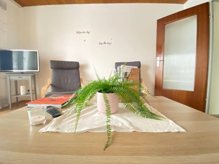Cozy Home In South-Germany Klettgau المظهر الخارجي الصورة