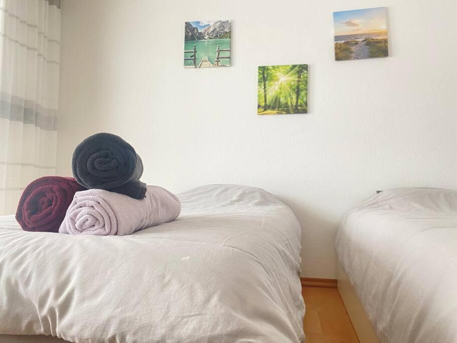 Cozy Home In South-Germany Klettgau المظهر الخارجي الصورة
